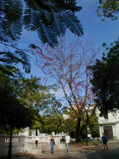 09Matanzas2