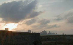 37Havana