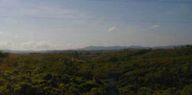 41Landschaft