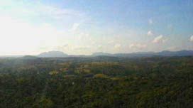 42Landschaft