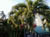 04Palme1