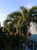 05Palme2