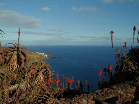 Madeira 2000
