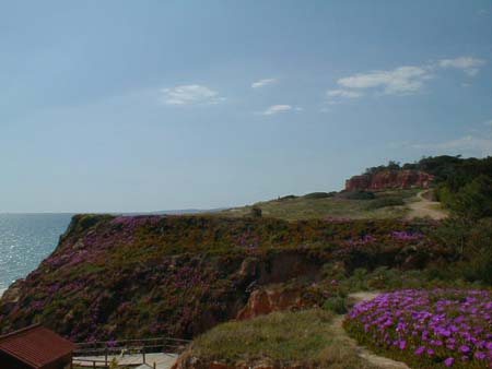 P1010037