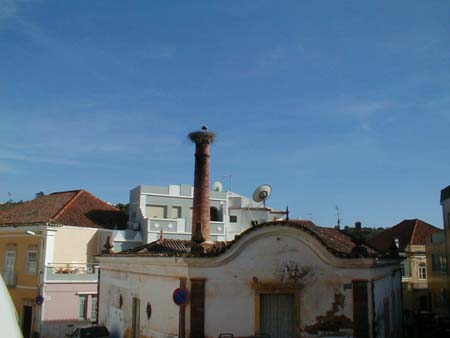 P1010068
